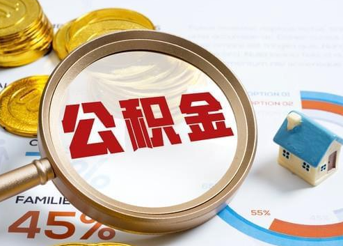 济宁2025年政策调整对个人影响综合解析‌